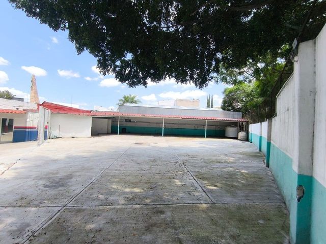 place photo 7
