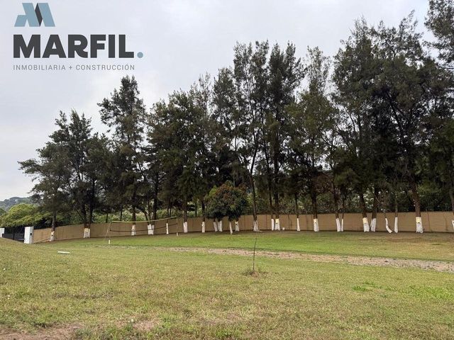 place photo 45