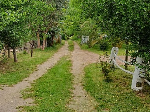 place photo 29