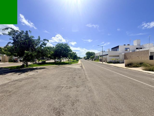 place photo 37