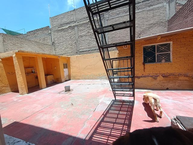 place photo 30