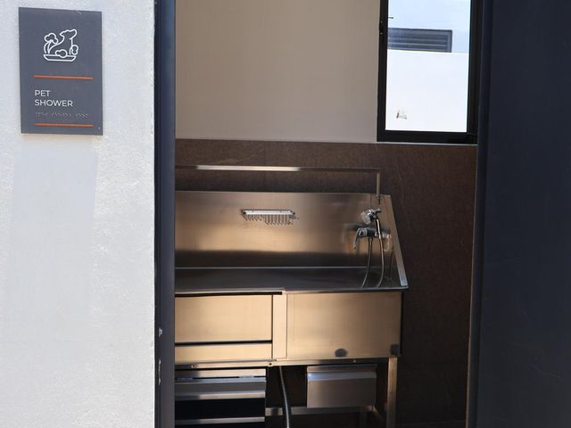 place photo 26