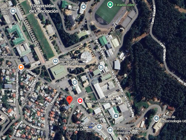place photo 11