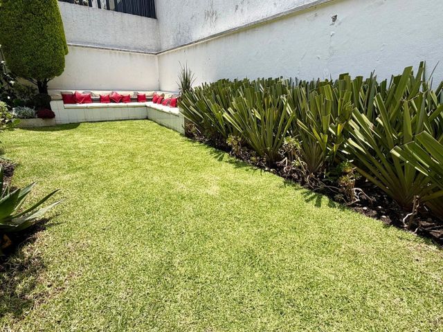 place photo 38