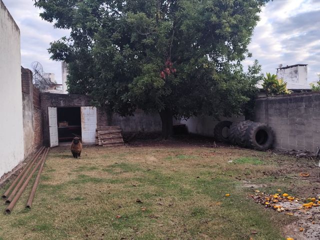 place photo 33