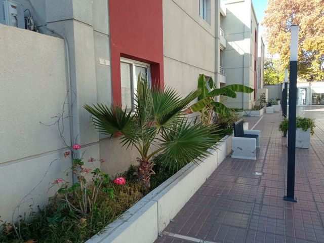 place photo 54
