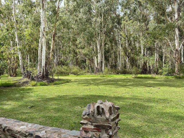 place photo 64