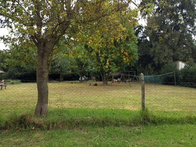 place photo 26