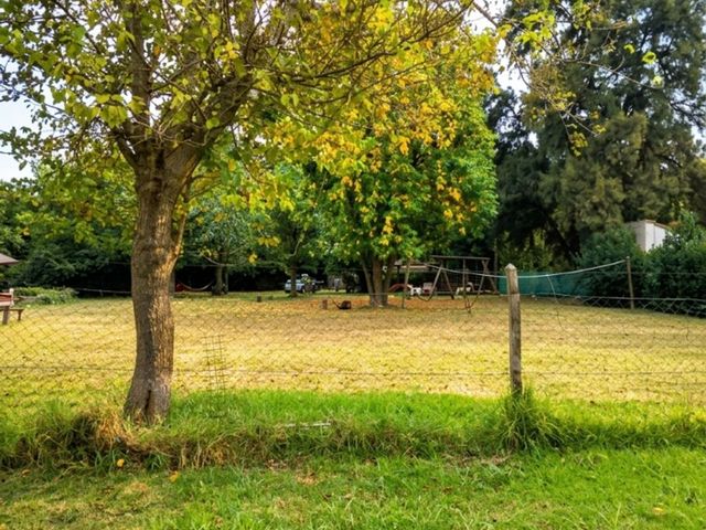 place photo 38