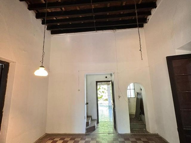 place photo 37