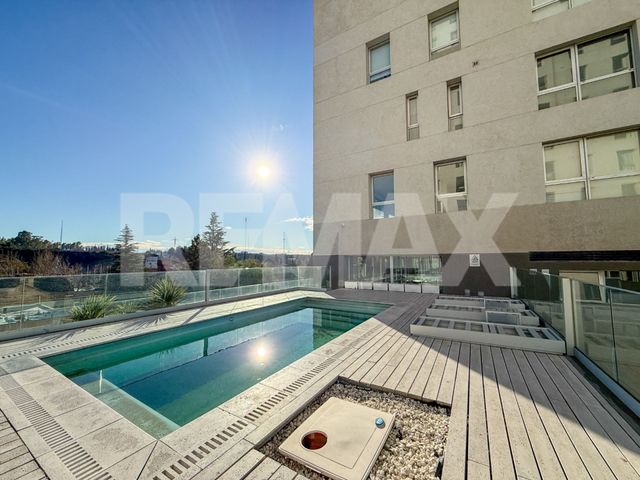 place photo 47