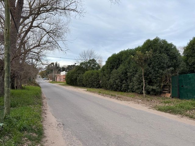 place photo 16