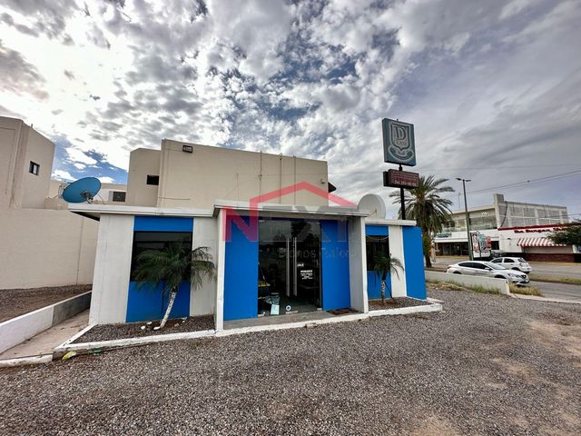 place photo 11
