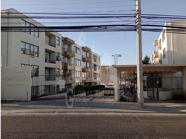 place photo 16