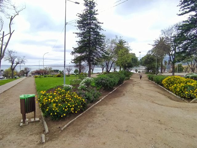 place photo 26