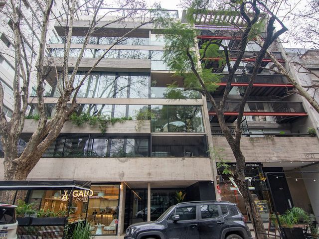 place photo 46