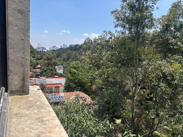 place photo 43
