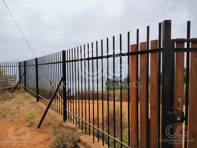 place photo 22