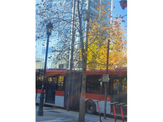 place photo 49