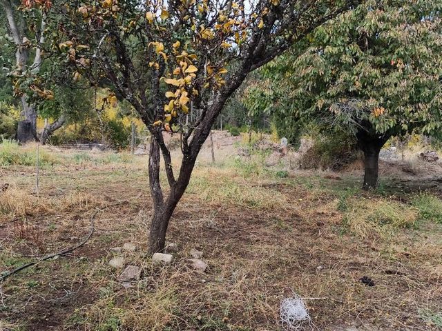 place photo 44