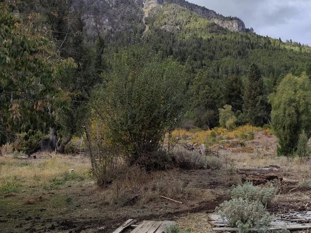place photo 22