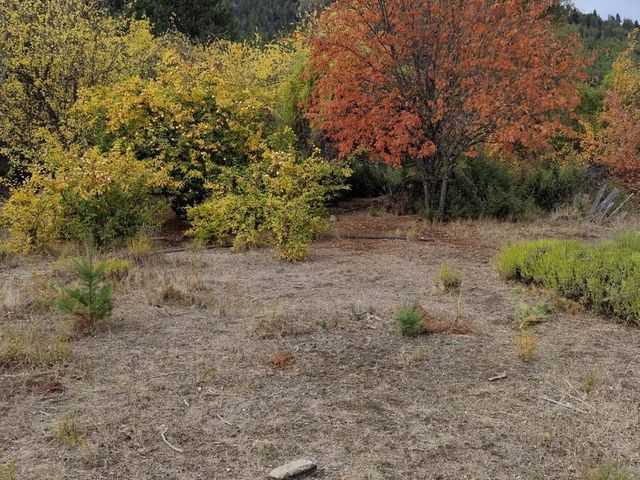 place photo 36
