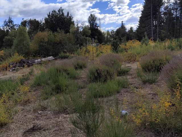 place photo 37