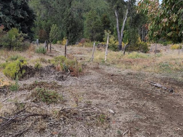 place photo 43