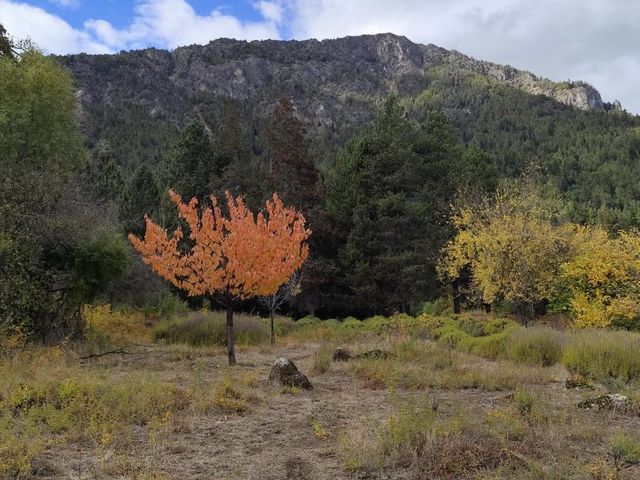 place photo 33