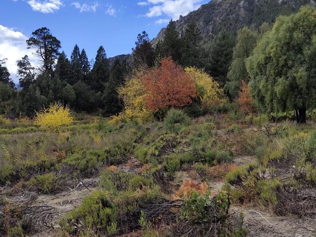 place photo 35