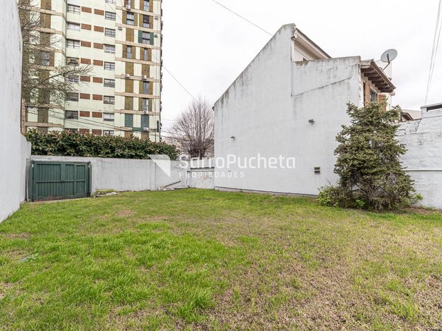 place photo 27