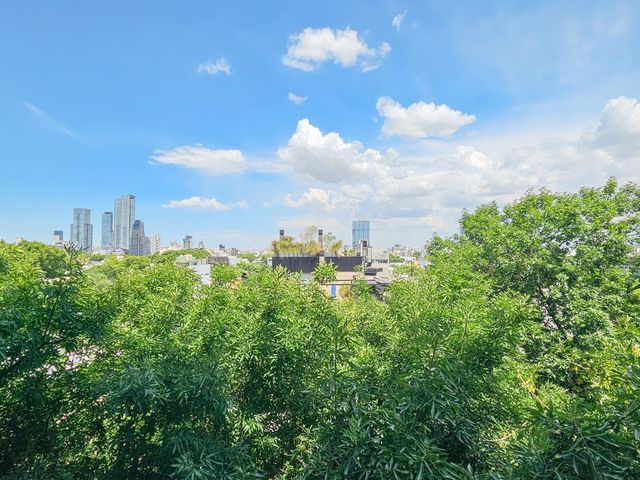place photo 43