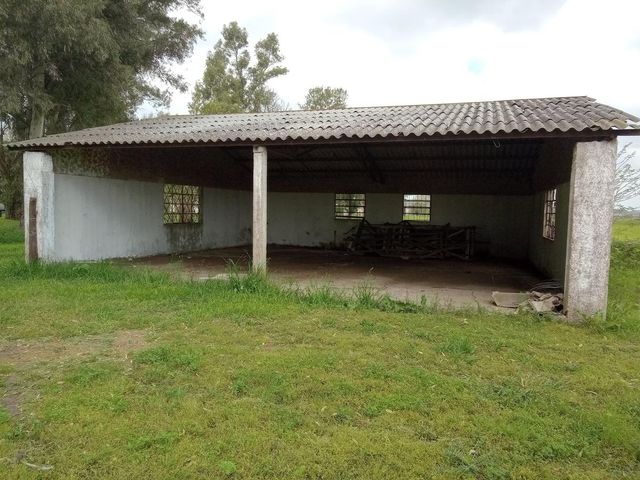 place photo 28