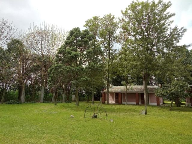 place photo 21