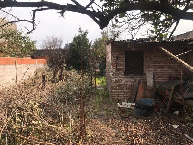 place photo 21