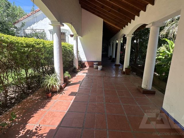 place photo 44