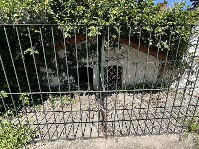 place photo 54