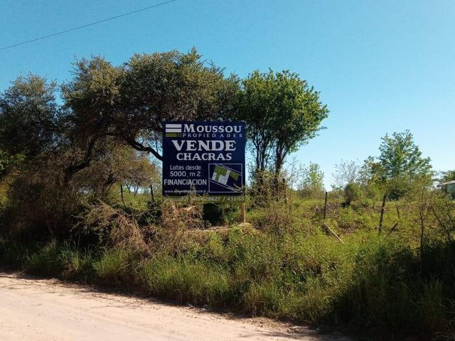 Chacra - Gualeguaychu