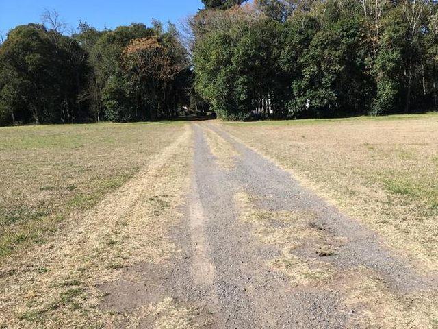 place photo 15