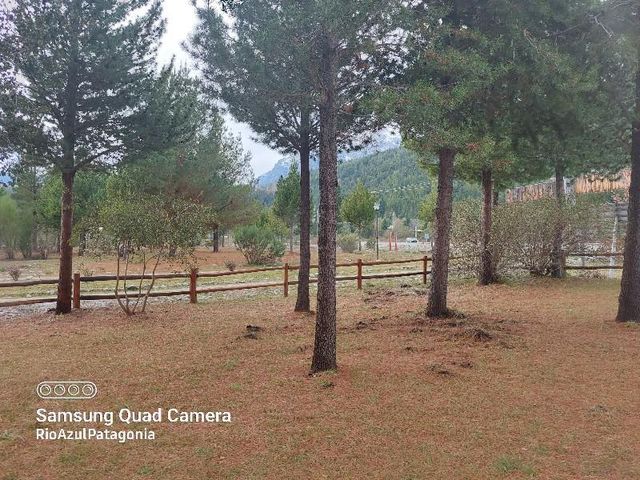 place photo 32