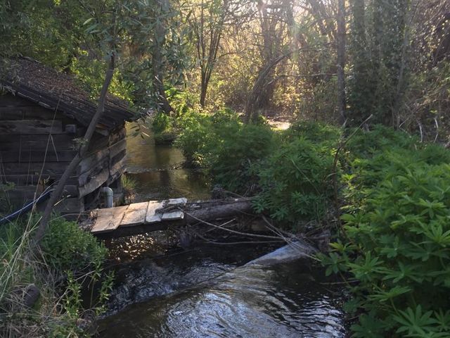 place photo 29
