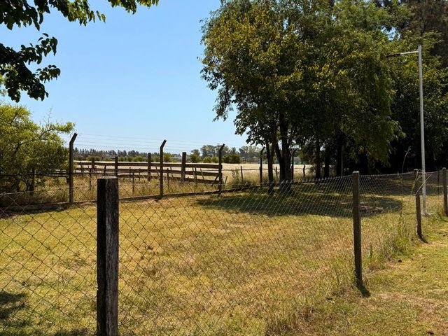 place photo 10