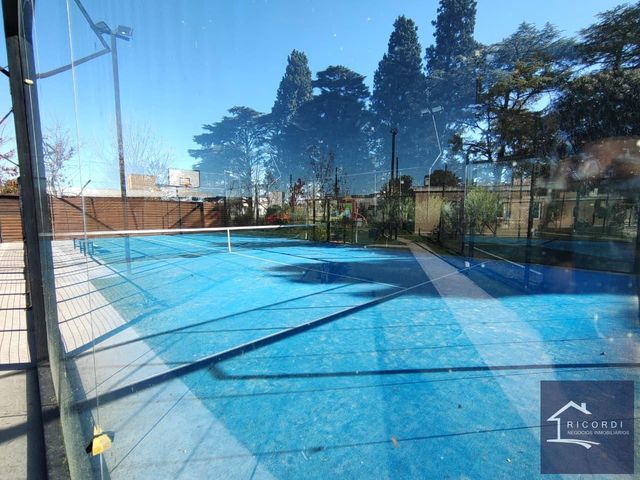 place photo 43