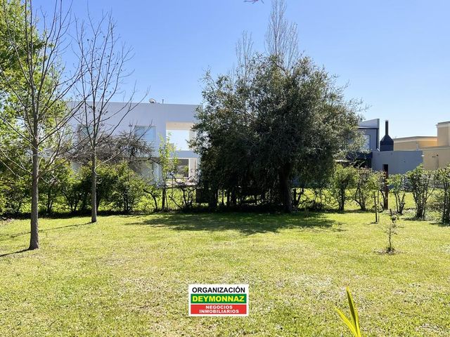 place photo 37