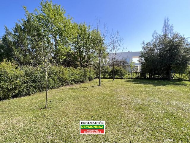 place photo 46