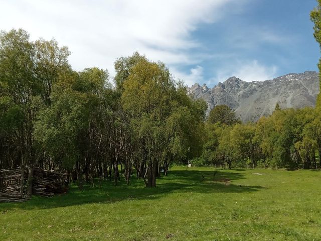 place photo 14
