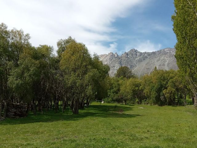 place photo 13