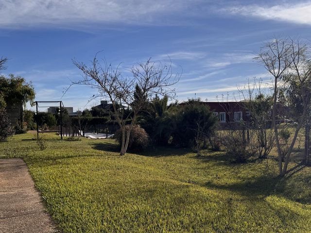 place photo 51