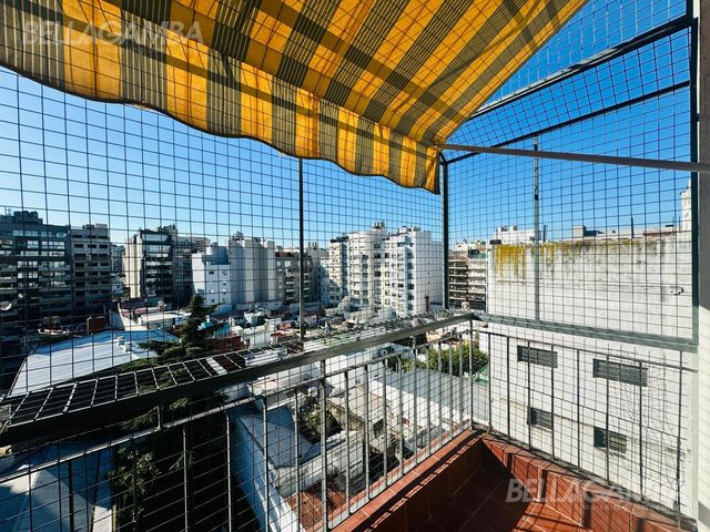 place photo 28