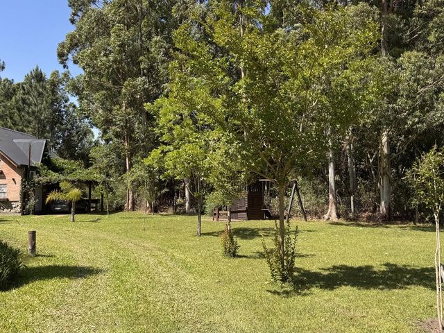 place photo 41